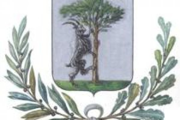 Рабочее зеркало на кракен